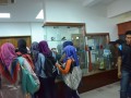 Tn DSC 8555